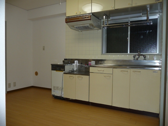 Kitchen. Two-burner stove can be installed!