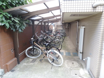 Parking lot. Covered bicycle shed