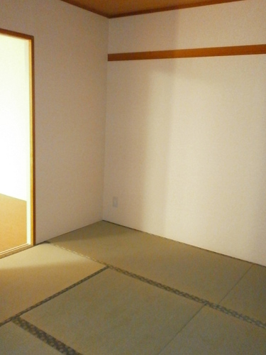 Living and room. Japanese style room