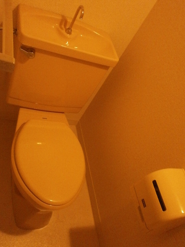 Toilet. Toilet