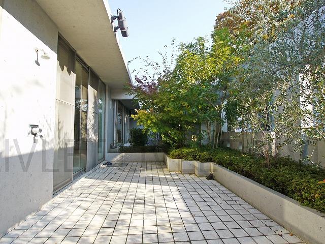 Balcony. terrace