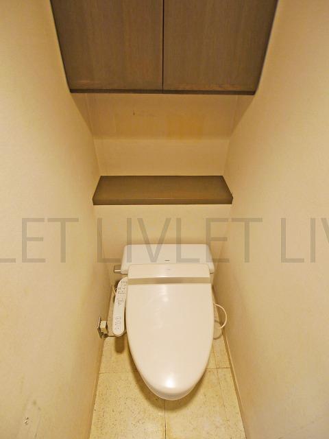 Toilet. With storage toilet