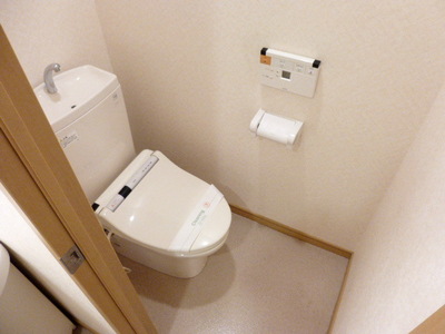 Toilet. Bidet with toilet