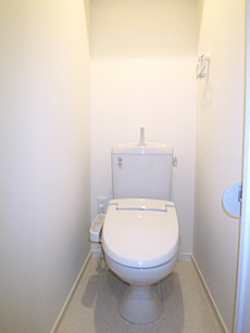 Toilet. With Washlet