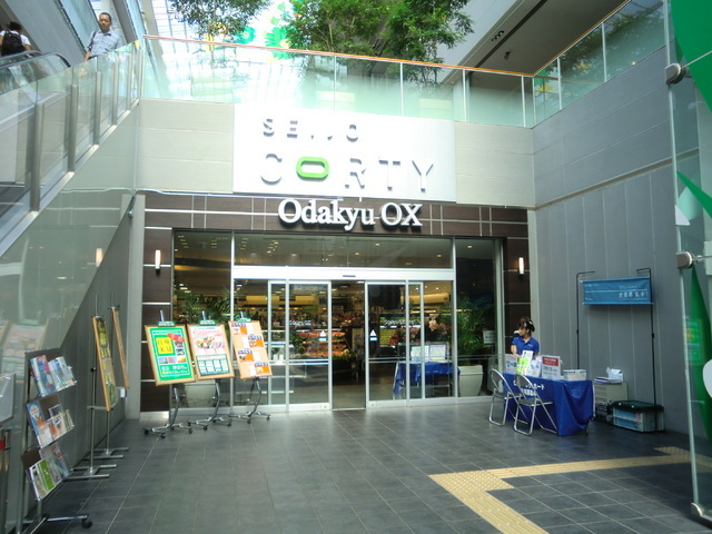 Supermarket. 1000m to Odakyu OX (super)