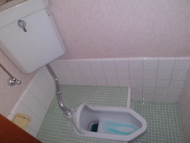 Toilet