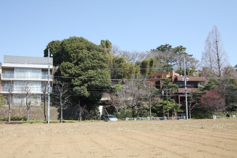 Local land photo. Photo seen a local from long distance in the field over