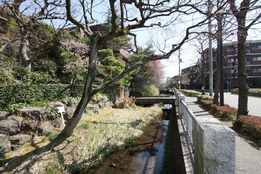 Other local. And flow Rokugo water between the front road, We have become very river of good gentle stream of atmosphere in the ward management. 