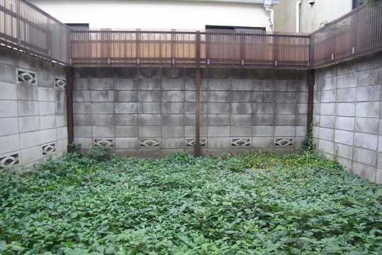 Garden. Garden facing the Japanese-style room Day there is a depth is also good.
