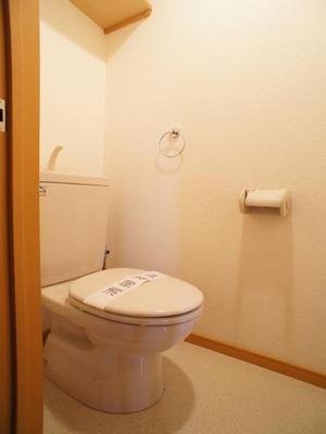 Toilet. It is a convenient storage shelf with a toilet! 