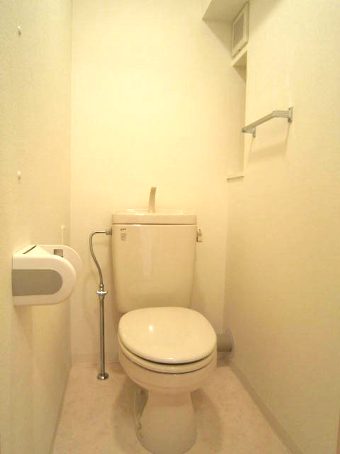 Toilet. With shelf