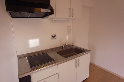 Kitchen. White was the keynote two-neck type of IH kitchen