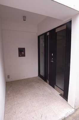 Entrance. Modern apartment entrance