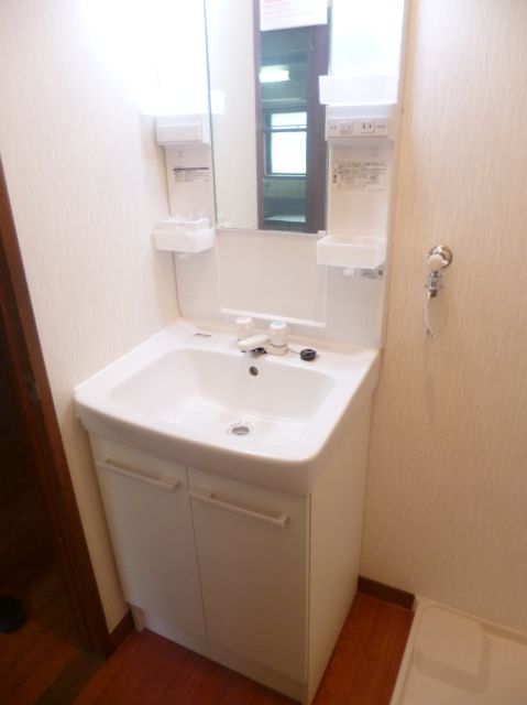 Washroom. Bathroom vanity