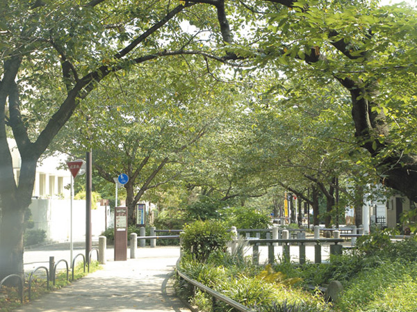 Surrounding environment. Kitazawa River green road (4-minute walk ・ About 310m)