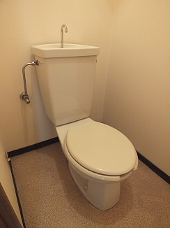 Toilet. Toilet space that is clean