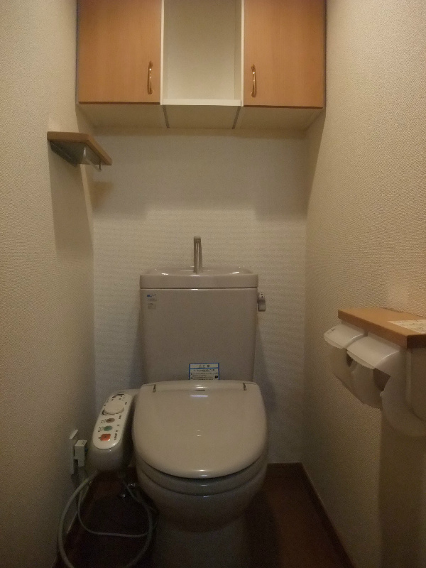 Other. Toilet