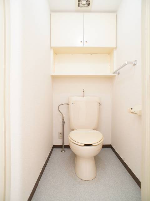 Toilet. Since the shelves are installed to the upper, What we need in the toilet in the toilet