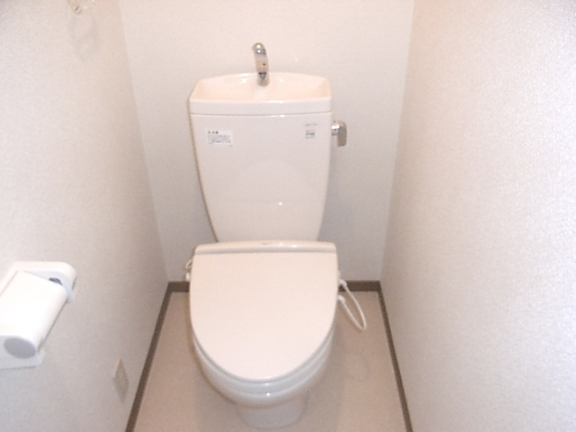 Toilet. Beautiful toilet