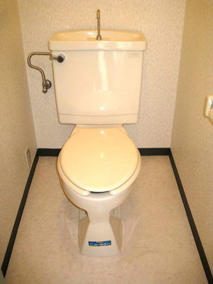 Toilet. Toilet