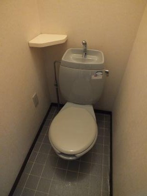 Toilet. Convenient shelf toilet