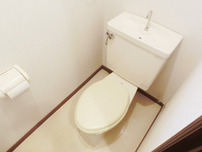 Toilet. It is a toilet with a clean