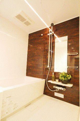 Bathroom. Same specifications construction cases