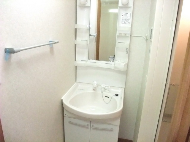 Washroom. Shampoo dresser