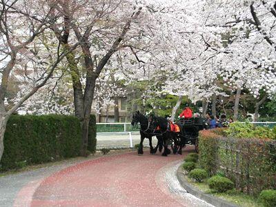 park. 1100m to horse events public garden