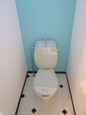 Toilet. Colorful toilet