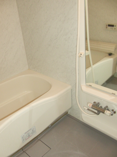 Bath. Bathroom drying system Add-fired with function