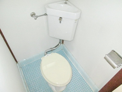 Toilet. Toilet