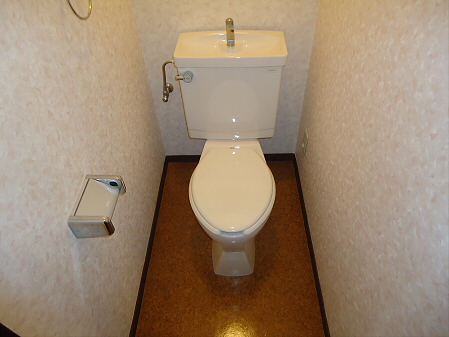 Toilet