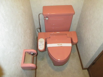 Toilet. Washlet toilet