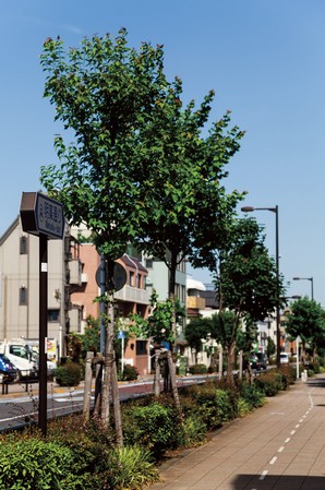 Akirayaku Street