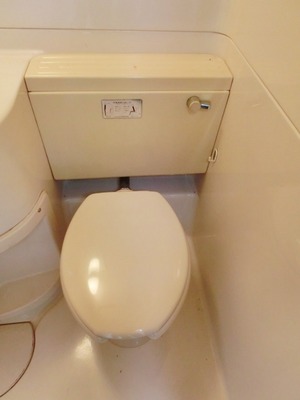 Toilet. It is a toilet with a clean