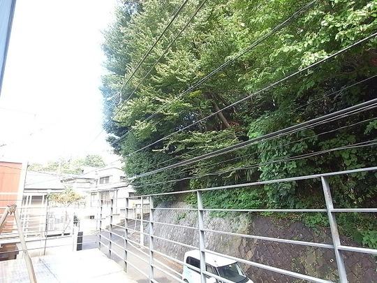 Balcony. Green is part of life that spread in front of the eye