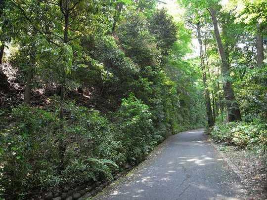 park. 250m ShizuYoshimido green space to ShizuYoshimido green space