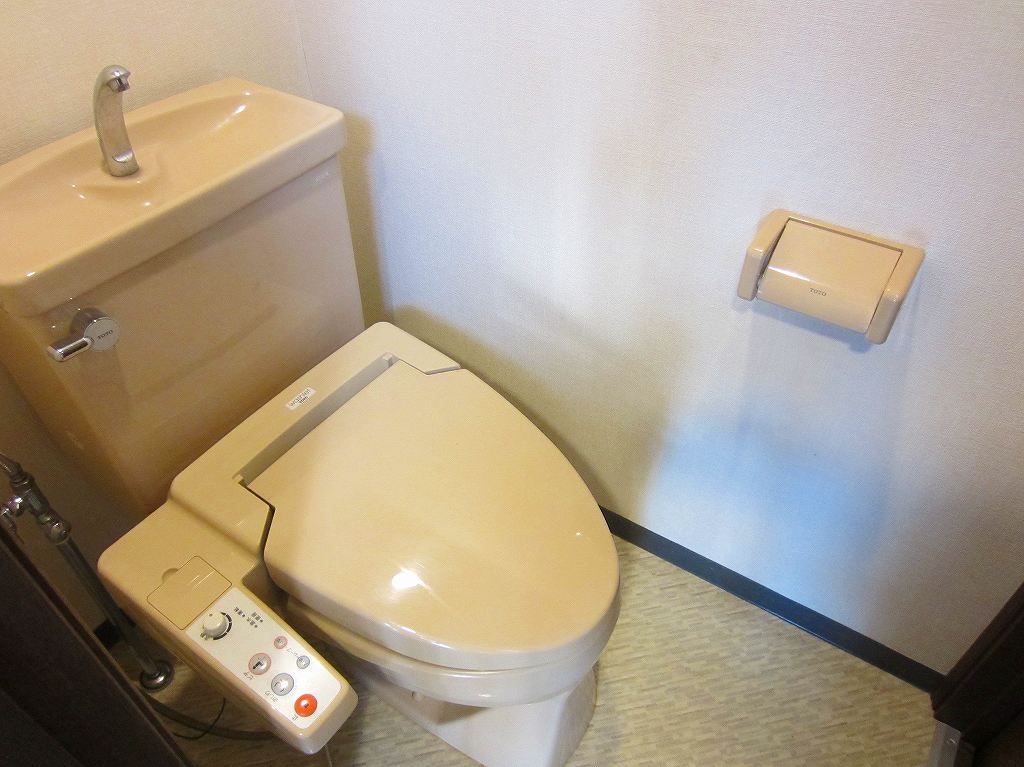 Toilet