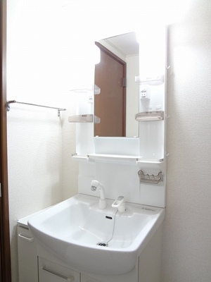 Washroom. Bathroom Vanity