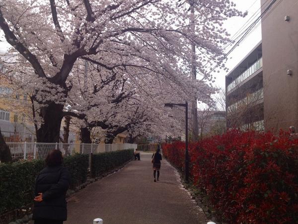 park. Roka Hisashi Harusono up to 640m