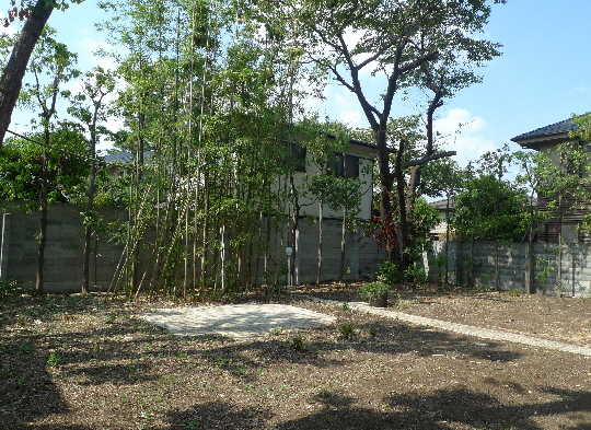 Local land photo