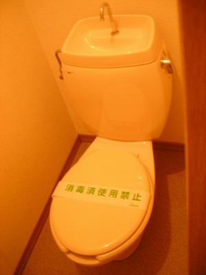 Toilet. Toilet