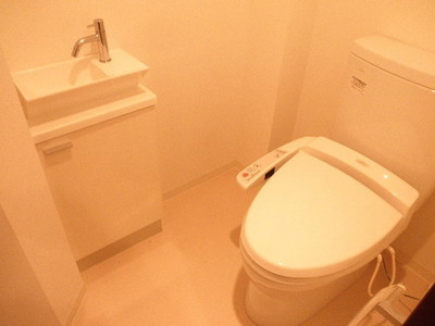 Toilet. Reference photograph