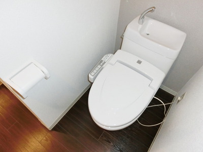 Toilet. Toilets are of course with bidet