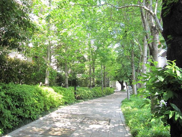 Other local. Many planting, On-site is a calm atmosphere, surrounded by green.