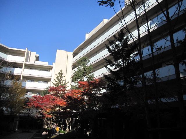 Local appearance photo. The autumn coloring leaves, I feel the changing of the seasons.