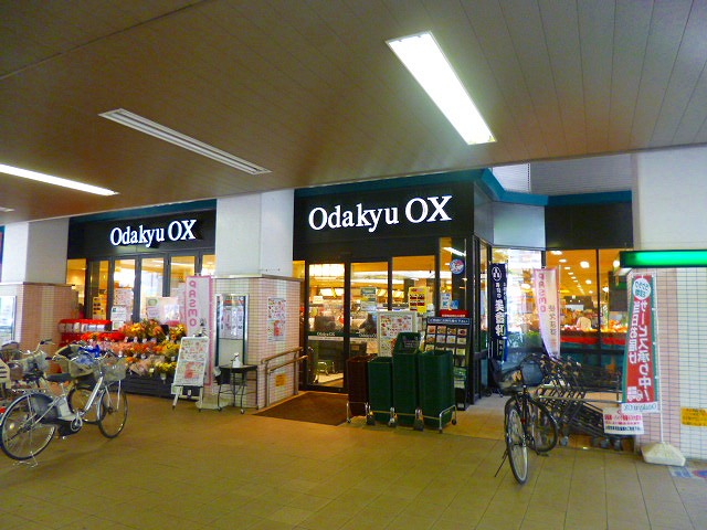 Other. Odakyu OX