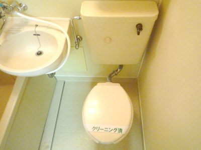 Toilet. Toilet