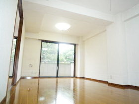 Living and room. Spacious living room ☆